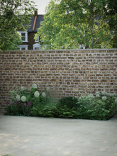 products/SotoHouseSun-6.jpg